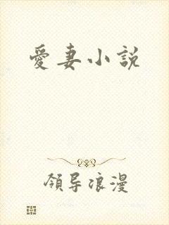 爱妻小说