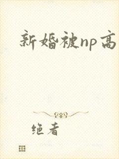 新婚被np高h