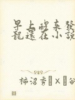 早上醒来发现巨龙还在小说