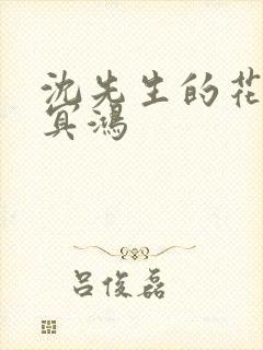 沈先生的花式调冥鸿