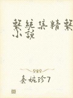 系统集精系统 小说