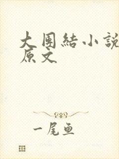 大团结小说阅读原文封面