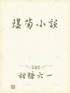 爆菊小说