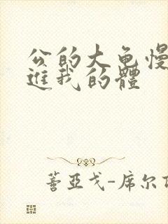 公的大龟慢慢挺进我的体