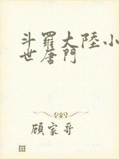 斗罗大陆小说绝世唐门