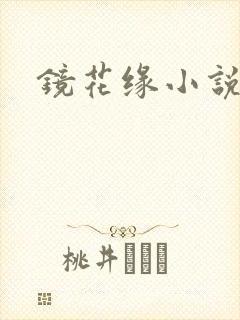 镜花缘小说