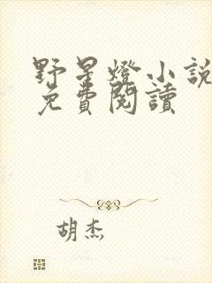 野星灯小说全文免费阅读