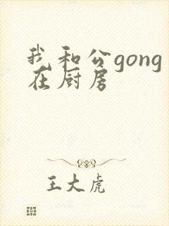 我和公gong在厨房