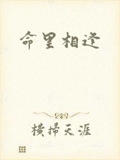 命里相逢