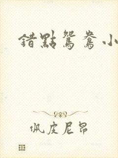 错点鸳鸯小说