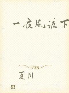 一夜风流下载