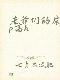 老爷们的床奴np高h