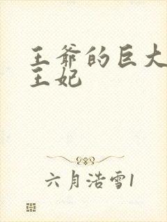 王爷的巨大进入王妃