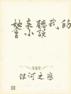 她来听我的演唱会小说