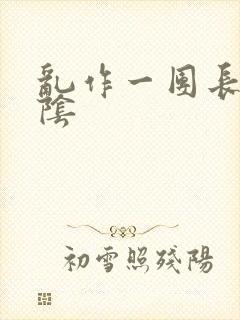 乱作一团长日光阴