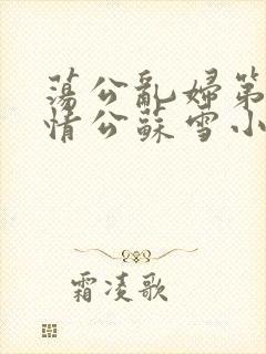 荡公乱妇第1章情公苏雪小说