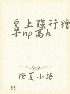 皇上强行糟蹋太子np高h