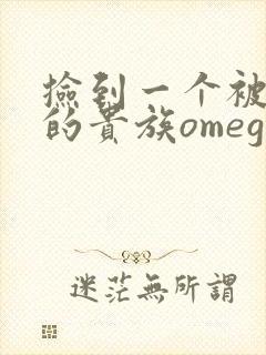 捡到一个被抹布的贵族omega