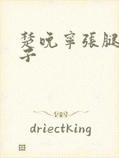 楚晚宁张腿放棋子