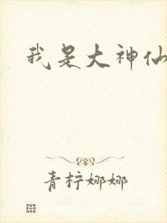 我是大神仙小说