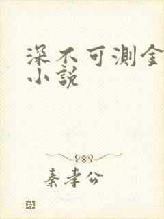 深不可测金银花小说