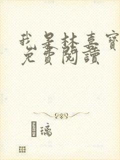 我是林喜宝小说免费阅读