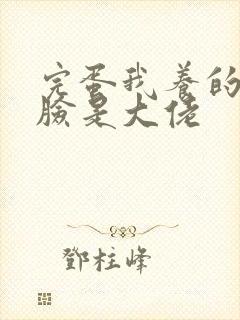 完蛋我养的小白脸是大佬