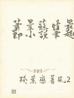 萧晨苏晴最新章节小说笔趣阁