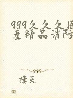 999久久久国产精品消防器材