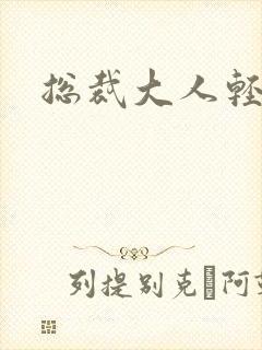 总裁大人轻一点封面