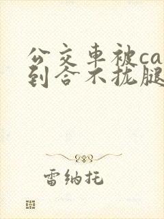 公交车被cao到合不拢腿视频