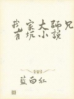 我家大师兄脑子有坑小说