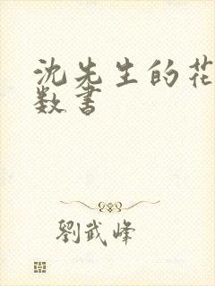 沈先生的花式调数书