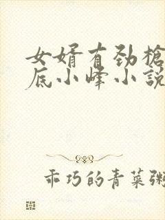 女婿有劲枪枪到底小峰小说