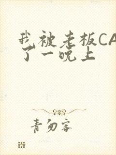 我被老板CAO了一晚上