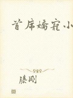 首席娇宠小情人