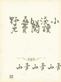 野桑by浅小说免费阅读