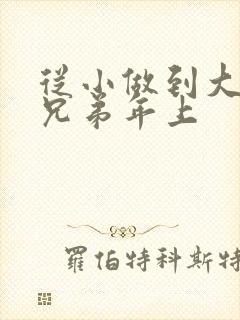 从小做到大骨科兄弟年上