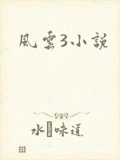 风云3小说