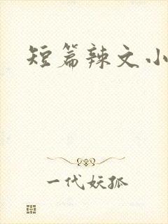短篇辣文小说