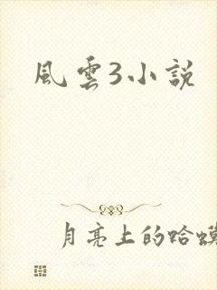 风云3小说