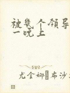 被几个领导玩弄一晚上