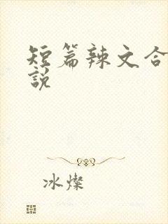 短篇辣文合集小说