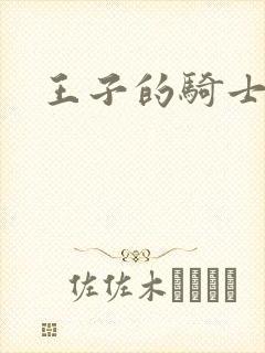 王子的骑士小说