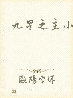 九星之主小说