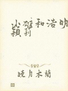 小雄和浩明夹击颖莉