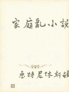 家庭乱小说