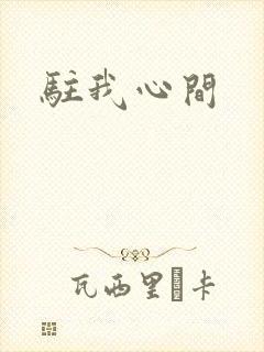 驻我心间