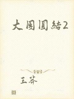 大团圆结2