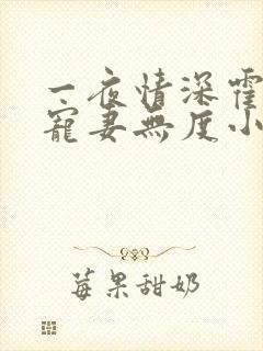 一夜情深霍先生宠妻无度小说免费阅读封面